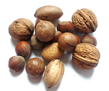 分类坚果,坚果,核桃,巴西坚果,榛子,巴西坚果,坚果混合物,坚果 分类坚果,坚果,核桃,巴西坚果,榛子,巴西坚果,坚果混合物,坚果