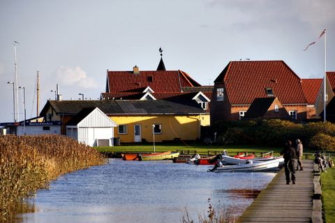 菲舍尔,鱼,丹麦,河,家,海,水,建筑结构 菲舍尔,鱼,丹麦,河,家,海,水,建筑结构