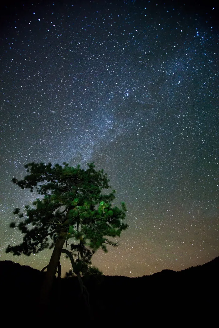 美国，约塞米蒂国家公园，夜晚，树木，露营，约塞米蒂，星星，长时间曝光