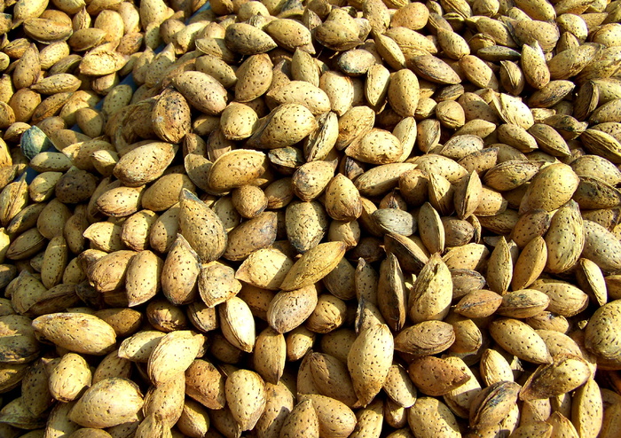 杏仁，硬壳水果，杏仁树是，大群体的物体，丰富，完整的框架，食物和饮料，背景