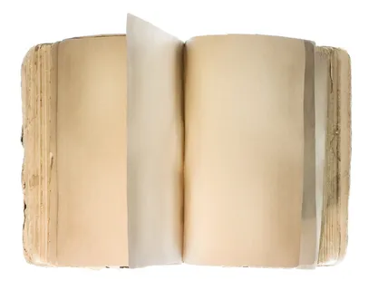 con2011,书籍,知识,文学,文学,新,对象,教科书 con2011,书籍,知识,文学,文学,新,对象,教科书