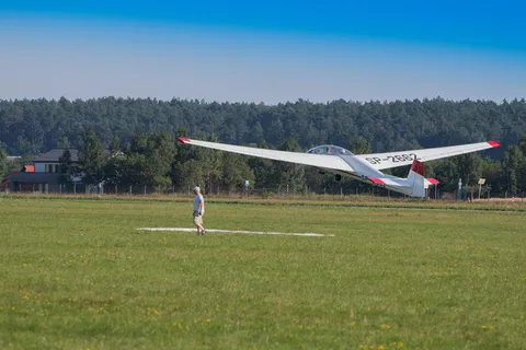 滑翔机，飞行，航空，天空，翅膀，飞行，旅行，dom