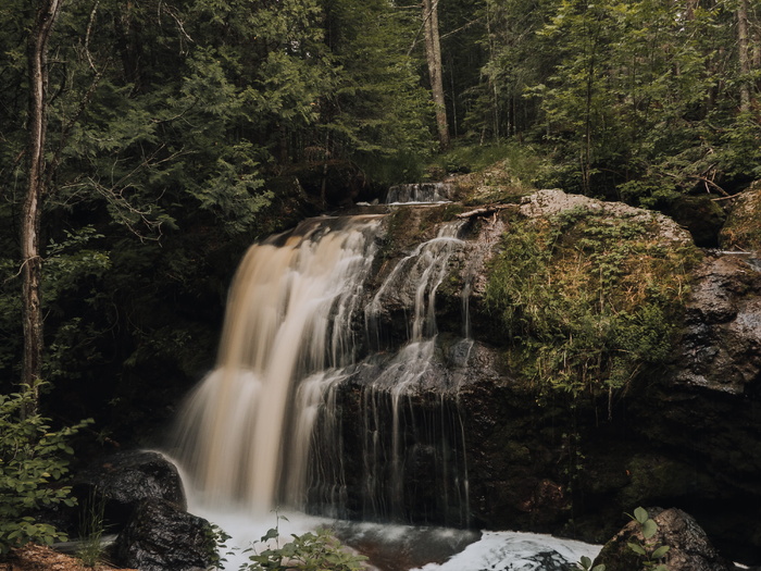瀑布，环绕，树木，白天，水，湖泊，池塘，森林