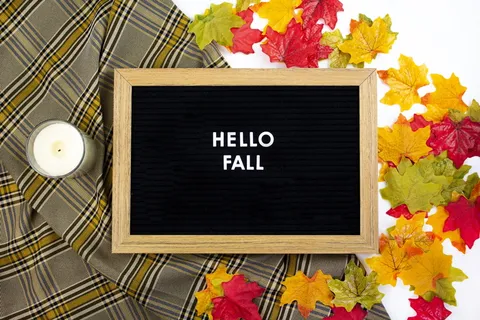 带有hello fall文本的黑板