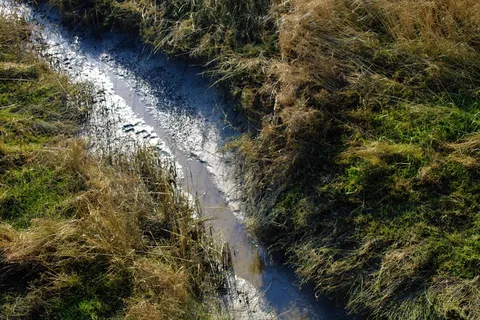 自然、水、溪流、沟渠、户外、小溪、河流、土地