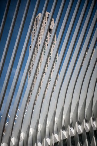 美国、纽约、曼哈顿、归零地、火车站、奥库卢斯、宾州站、鱼骨