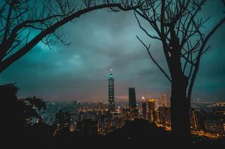 城市景观背景下的裸树剪影