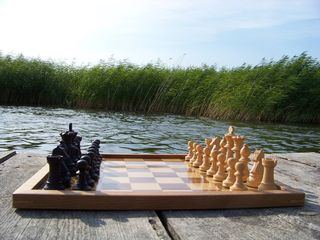 象棋，棋子，基本，位置，棋子，基本位置，斯汤顿，雕像