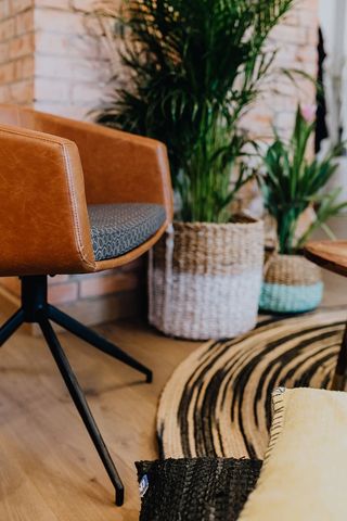 带有绿色植物的现代室内细节