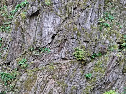 石墙,山脉,石灰石,绿色,森林,苔藓,自然,岩石-物体 石墙,山脉,石灰石,绿色,森林,苔藓,自然,岩石-物体