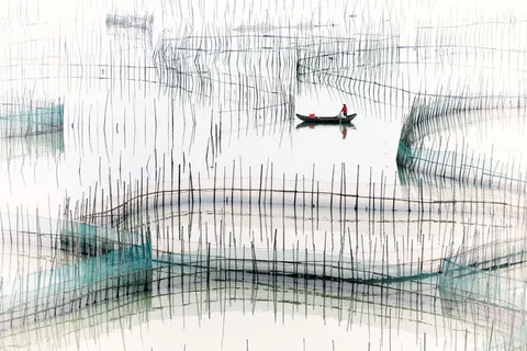 鱼塘图，霞浦，八尺，门，景观，八尺门，抽象，蓝色