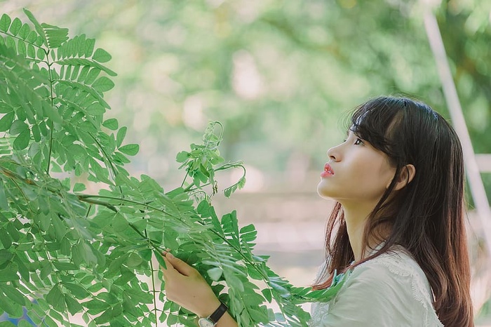 拿着树叶的女人的照片