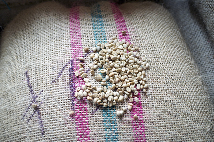 咖啡，咖啡豆，生的，阿拉比卡咖啡，咖啡，咖啡豆，未烤，新鲜，哥伦比亚