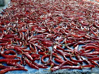 辣椒、辣椒粉制作、红色、食品、辛辣、韩国世宗市、食品和饮料