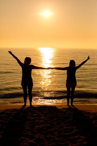 剪影，两个人，人，牵着，其他人的手，海滩，日落，天空