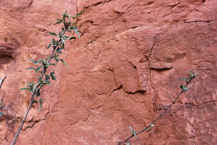 美国，大教堂岩，亚利桑那州，岩，红岩，最小，自然，背景