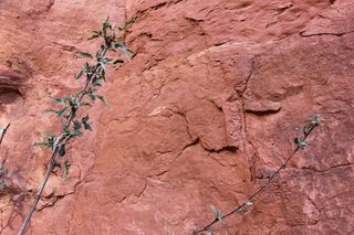 美国，大教堂岩，亚利桑那州，岩，红岩，最小，自然，背景