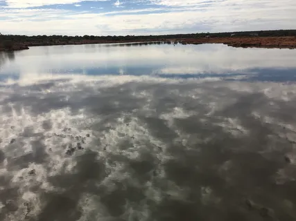 澳大利亚，kookynie，尼亚加拉大坝自然保护区，湖泊，水，云，云天，倒影