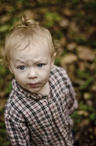男孩，傻，户外，有趣，严肃，绿色，格子，法兰绒