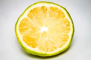 柠檬，柠檬，透镜，橙色，黄色，自然，颜色，明亮