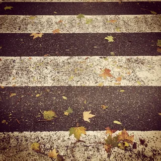 秋天,冬天,忧郁,干燥,黄色,街道,道路标记,道路 秋天,冬天,忧郁,干燥,黄色,街道,道路标记,道路