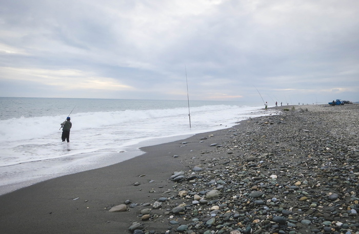 海岸上的人，海岸，被捕获，白天，海滩，沙子，岩石，水