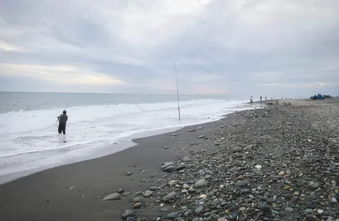 海岸上的人,海岸,被捕获,白天,海滩,沙子,岩石,水 海岸上的人,海岸,被捕获,白天,海滩,沙子,岩石,水