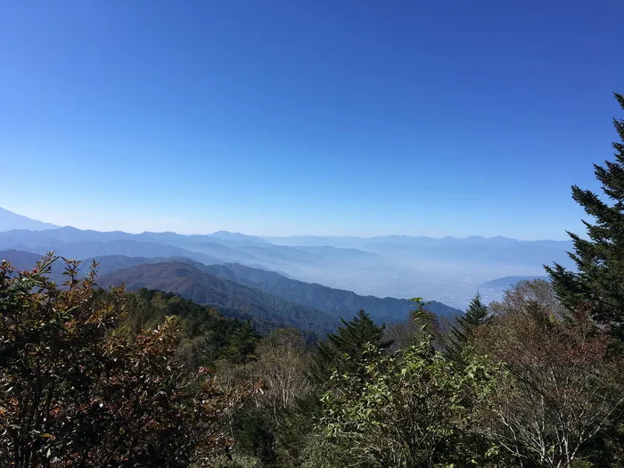 富士山，山，山梨，树，植物，风景-自然，自然之美，天空