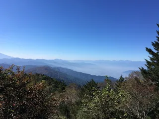 富士山，山，山梨，树，植物，风景-自然，自然之美，天空