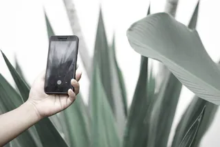 使用黑色安卓智能手机拍摄绿色植物的人