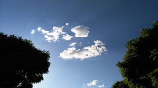 天空，云，日落，蓝色，树，云-天空，植物，低角度视图