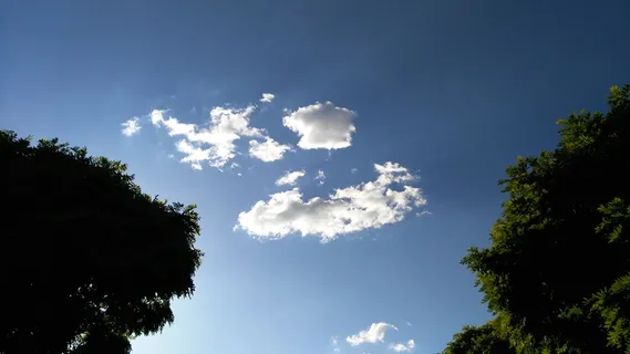 天空,云,日落,蓝色,树,云-天空,植物,低角度视图 天空,云,日落,蓝色,树,云-天空,植物,低角度视图