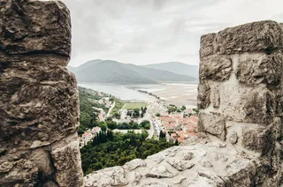 白天在水体旁的森林