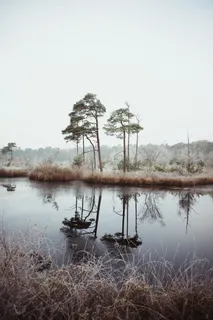 景观摄影树木、身体、水、自然、树木、河流、湖泊、植物 景观摄影树木、身体、水、自然、树木、河流、湖泊、植物