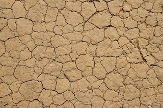 干棕壤、土壤、地面、质地、土壤、棕色、表面、污垢