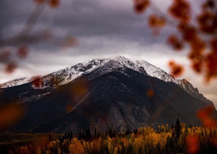 黑，白，山，棕色，树木，覆盖，雪，山谷