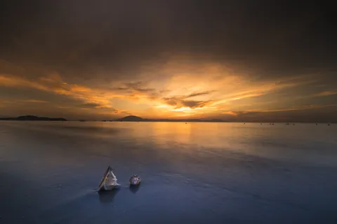 日落时海滩上的两个斯孔塞贝壳