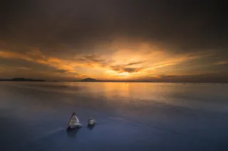 日落时海滩上的两个斯孔塞贝壳