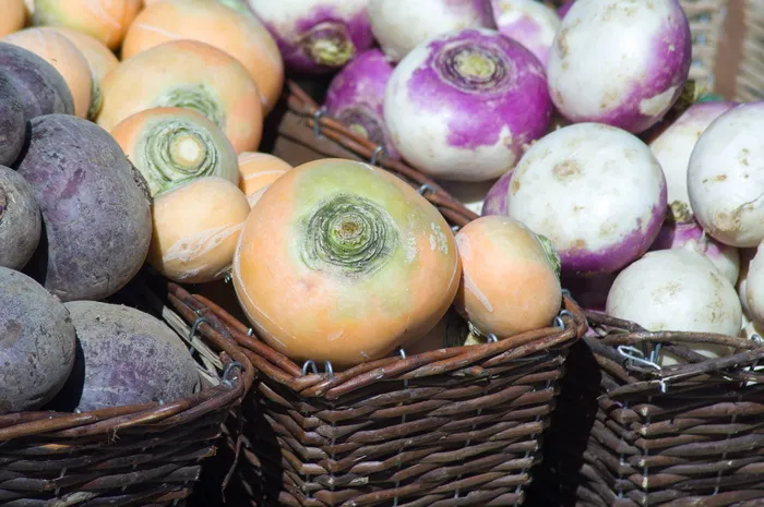 萝卜、菜园、菜园、蔬菜、收获、篮子、新鲜度、食品和饮料