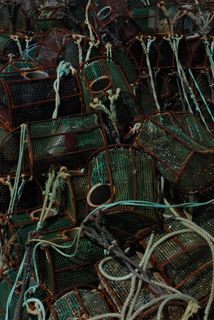 港口、网络、海洋、渔业、渔业、无人、全框架、大群体物体