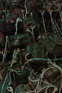 港口、网络、海洋、渔业、渔业、无人、全框架、大群体物体