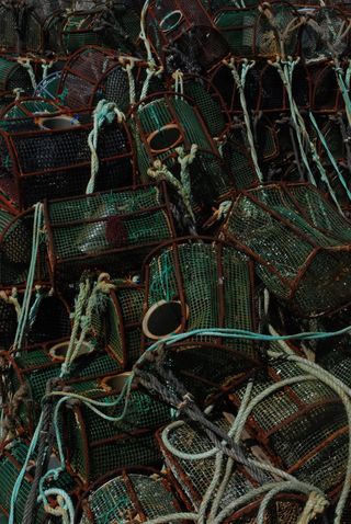 港口、网络、海洋、渔业、渔业、无人、全框架、大群体物体