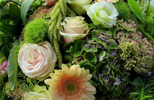 花,花,花,射击俱乐部,保护,关闭,花束,构图 花,花,花,射击俱乐部,保护,关闭,花束,构图