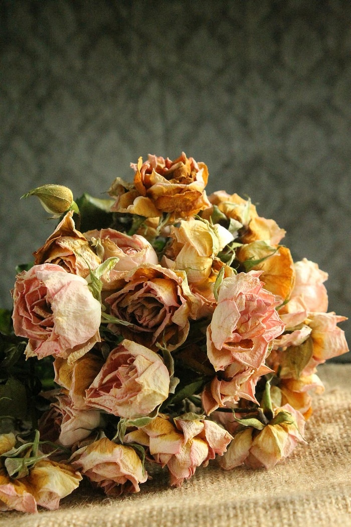 花，花，玫瑰，花束，干燥，褪色，枯萎，逝去