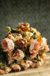 花，花，玫瑰，花束，干燥，褪色，枯萎，逝去