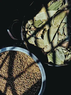 植物，农产品，蔬菜，小扁豆，豆类，巴特纳，香料，印度