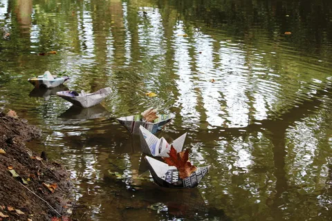 船，帆，浮子，纸，报纸，折纸，动物群，水