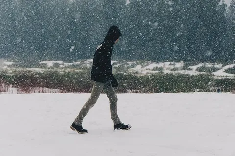 男人,黑色,连帽衫,走路,下雪,有盖,田野,人 男人,黑色,连帽衫,走路,下雪,有盖,田野,人