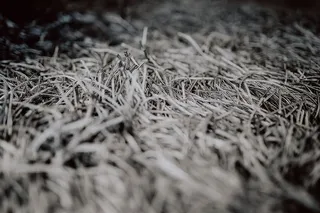 灰色地毯纹理特写