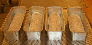 成型面包，烘焙，烤箱，面包师，食品制作，新鲜烘焙，面包，美观